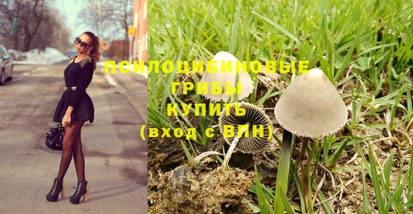 ECSTASY Беломорск
